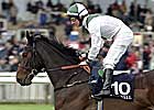 Graded Winner Karen's Caper Retired Graded Winner Karen's Caper Retired