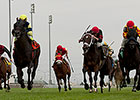 Karibu Gardens Blossoms in Sky Classic Win Karibu Gardens Blossoms in Sky Classic Win