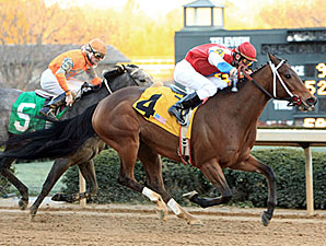 Kate's Main Man Outlasts Win Willy in Essex Kate's Main Man Outlasts Win Willy in Essex