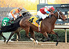 Kate's Main Man Outlasts Win Willy in Essex Kate's Main Man Outlasts Win Willy in Essex
