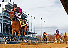 Kathmanblu Rolls in Golden Rod