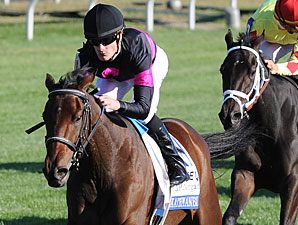Kathmanblu Easy Jessamine Winner Kathmanblu Easy Jessamine Winner
