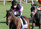 Kathmanblu Easy Jessamine Winner Kathmanblu Easy Jessamine Winner