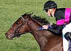 Oaks Featured Profile: Kathmanblu Oaks Featured Profile: Kathmanblu