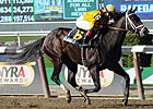 Kauai Katie is Star of Old Hat, GP Derby Day