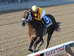 Kauai Katie Puts Streak on Line in Matron