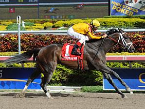 Kauai Katie Romps to Victory in Old Hat Kauai Katie Romps to Victory in Old Hat