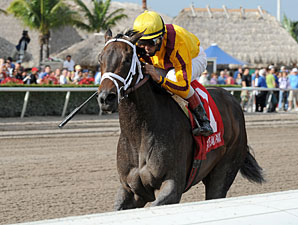 Kauai Katie, New Stablemate Top Forward Gal