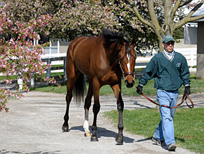 Keeneland April: More of the Same? Keeneland April: More of the Same?