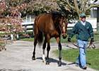 Keeneland  April: More of the Same?