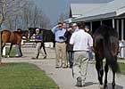 Keeneland Session 2: Potential Standouts Keeneland Session 2: Potential Standouts