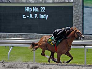Keeneland Session 1: Potential Standouts Keeneland Session 1: Potential Standouts