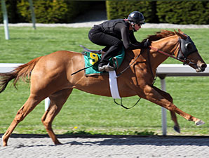 Pulpit Colt Excels During Keeneland Sale Work Pulpit Colt Excels During Keeneland Sale Work