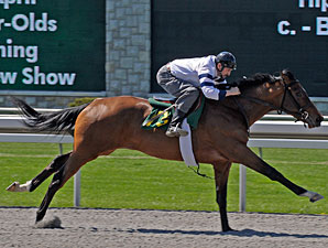 Keeneland April Sale: Horses to Watch Keeneland April Sale: Horses to Watch