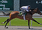 Keeneland April Sale: Horses to Watch Keeneland April Sale: Horses to Watch