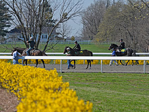 Keeneland April Sale: Poised for a Rebound? Keeneland April Sale: Poised for a Rebound?