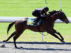 Keeneland Under Tack Show Produces Fast Times Keeneland Under Tack Show Produces Fast Times