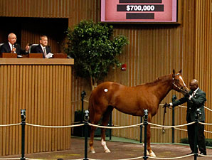 Majestic Warrior Colt Tops at Keeneland Majestic Warrior Colt Tops at Keeneland