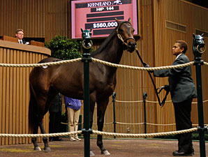 Porter Buys Speightstown Colt for $560,000 Porter Buys Speightstown Colt for $560,000