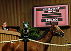 Majestic Warrior Filly Sells for $400,000 Majestic Warrior Filly Sells for $400,000