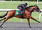 Keeneland Sale: Keep an Eye on These Horses Keeneland Sale: Keep an Eye on These Horses