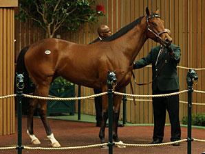 Unbridled's Song Filly Brings $700,000 Unbridled's Song Filly Brings $700,000