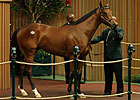 Unbridled's Song Filly Brings $700,000 Unbridled's Song Filly Brings $700,000