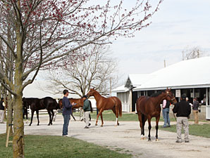 Depth Fuels Keeneland April Gains Depth Fuels Keeneland April Gains