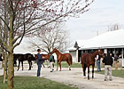 Depth Fuels Keeneland April Gains Depth Fuels Keeneland April Gains