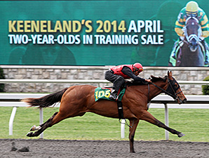 Horses to Watch at Keeneland April 2YO Sale Horses to Watch at Keeneland April 2YO Sale