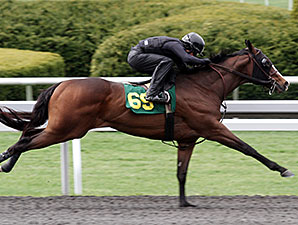 Times Sizzle at Keeneland's Under Tack Show Times Sizzle at Keeneland's Under Tack Show