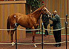 Tapit Sibling Brings $1 Million at Keeneland Tapit Sibling Brings $1 Million at Keeneland