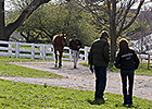 Average, Median Up Double Digits at Keeneland