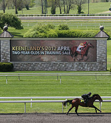 Keeneland Juvenile Sale Has Good Vibes Keeneland Juvenile Sale Has Good Vibes