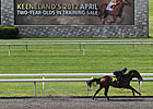 Horsemen Discuss Keeneland Sale, 2YO Market