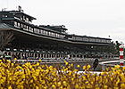 Keeneland Juvenile Sale Grabs Center Stage Keeneland Juvenile Sale Grabs Center Stage