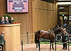 Keeneland Juvenile Sale Off to Strong Start Keeneland Juvenile Sale Off to Strong Start