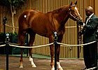 Keeneland Sale: Bullish at Top, But Selective