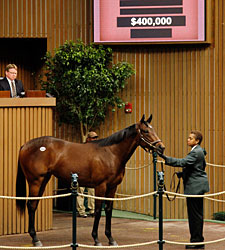 Lemon Drop Kid Filly Tops Early at Keeneland Lemon Drop Kid Filly Tops Early at Keeneland