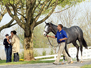 Keeneland Sale Shows Signs of Stabilization Keeneland Sale Shows Signs of Stabilization