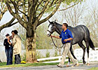 Keeneland Sale Shows Signs of Stabilization