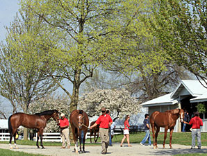 Keeneland Sale: These Juveniles Could Shine Keeneland Sale: These Juveniles Could Shine