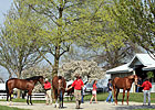 Keeneland Sale: These Juveniles Could Shine Keeneland Sale: These Juveniles Could Shine