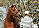 Feedback Positive Prior to Keeneland 2YO Sale Feedback Positive Prior to Keeneland 2YO Sale