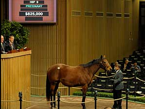 'Diva' Brings $825,000 at Keeneland 'Diva' Brings $825,000 at Keeneland