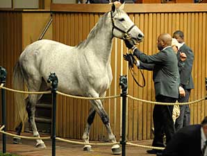 Island Fashion Sells For $950,000 Island Fashion Sells For $950,000