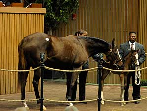 Outlook Brighter at Keeneland January Sale Outlook Brighter at Keeneland January Sale