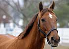 Azeri, 'Fashion' at Keeneland to Sell