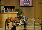 Negligee Sells For $625,000 at Keeneland Negligee Sells For $625,000 at Keeneland