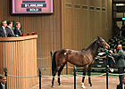 Ave Sells for $1.4 Million at Keeneland Ave Sells for $1.4 Million at Keeneland